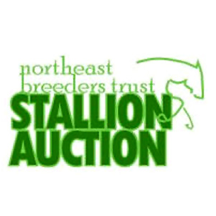 Central New York Reining Horse Association